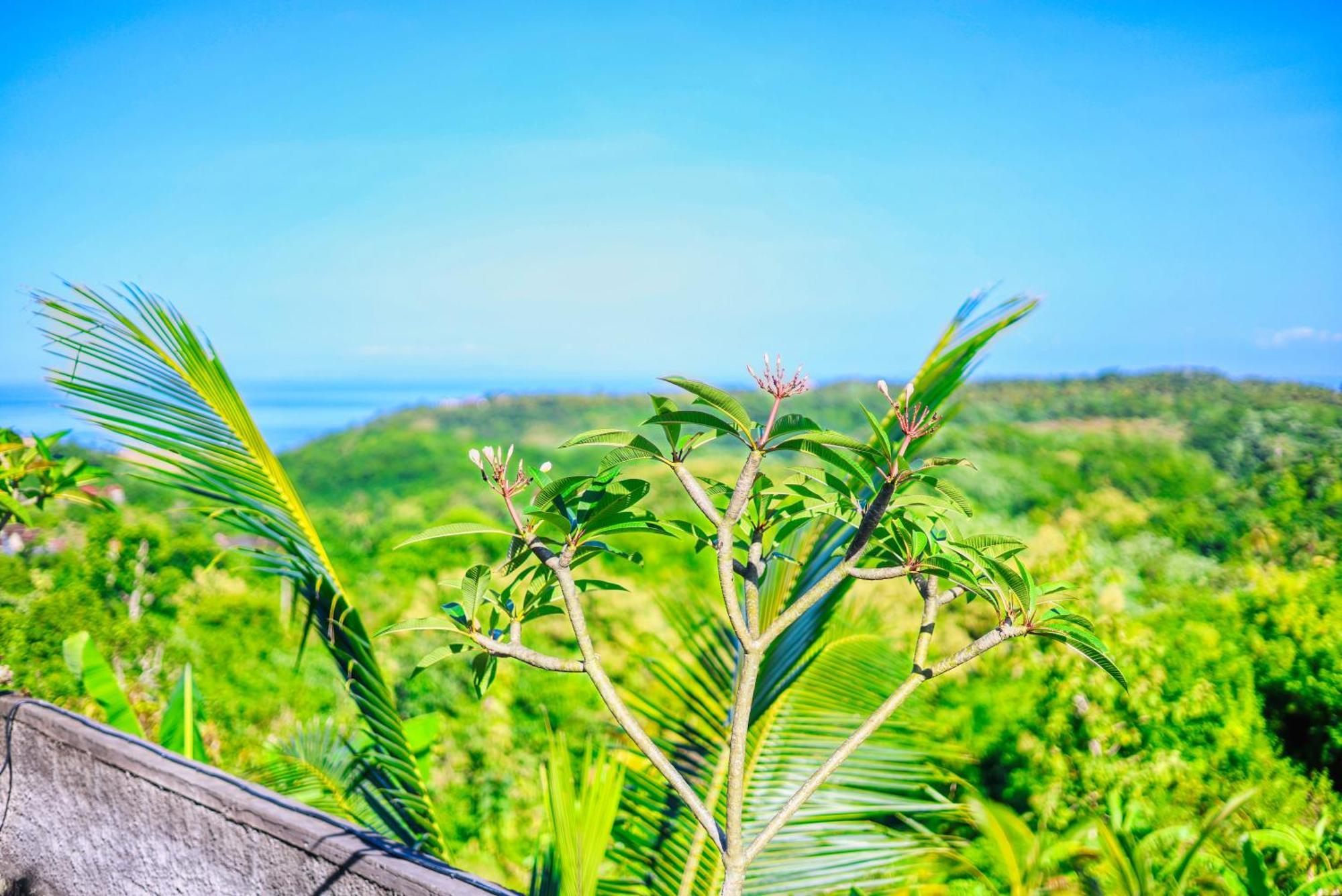 D Sebuluh Bungalow Batumadeg 外观 照片